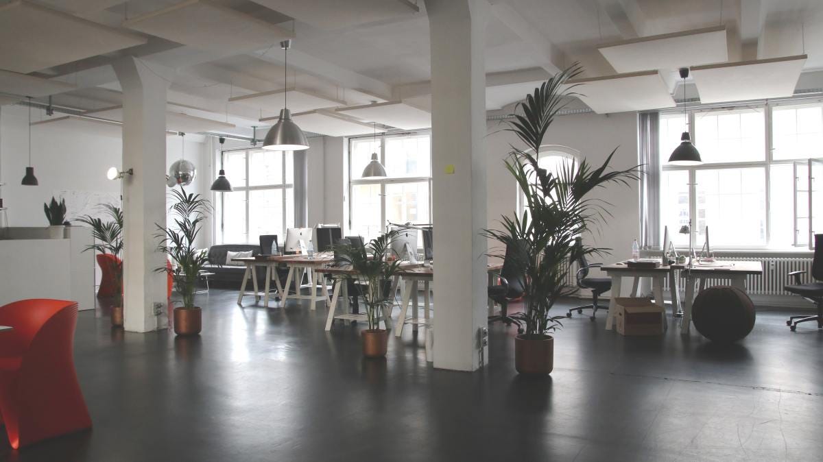 Empty open-plan office with desks, plants and pendant lighting